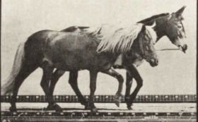 Plate 652 Horses rearing, etc. — figure reference